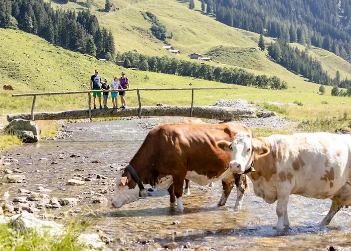 Lejlighed Isskogel *